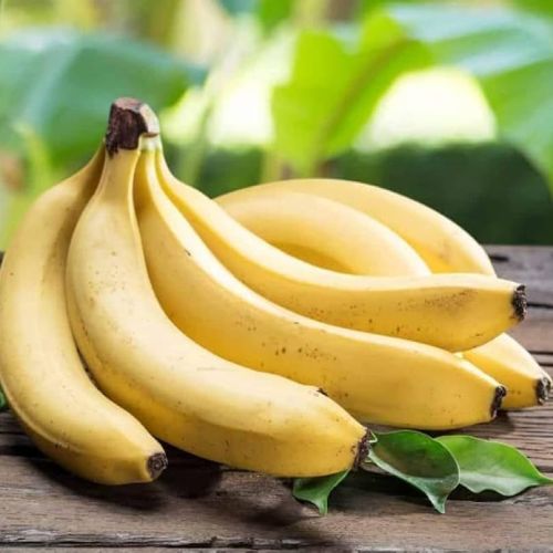 Global Bananas sourcing and B2B commodity supply