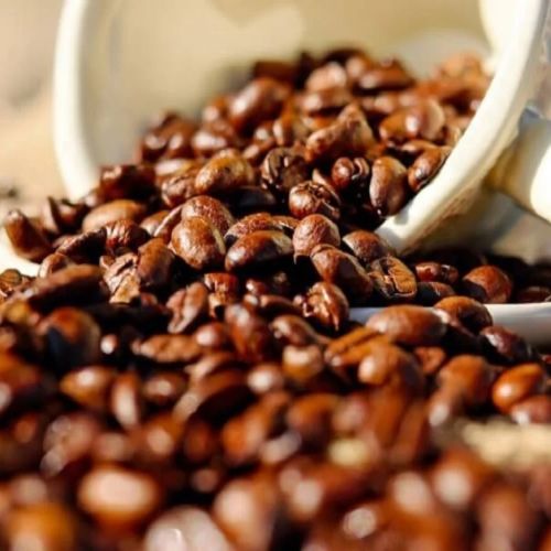 Global Robusta Coffee sourcing and B2B commodity supply