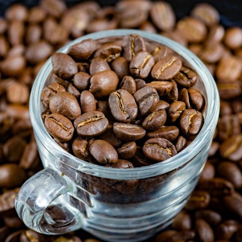 Global Arabica Coffee sourcing and B2B commodity supply