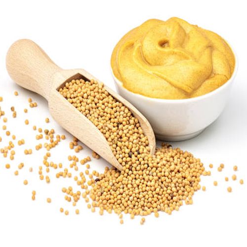 Global Mustard Seeds sourcing and B2B commodity supply