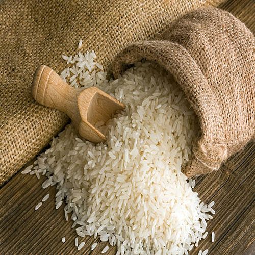 Global Paddy Rice sourcing and B2B commodity supply