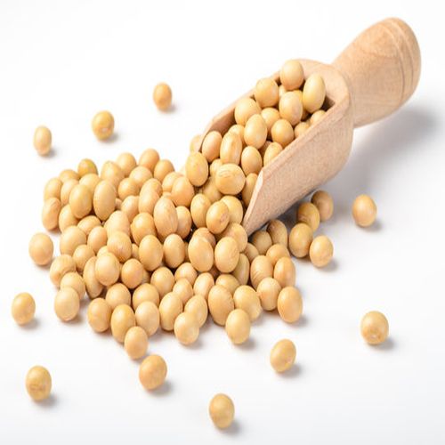 Global GMO Soybeans sourcing and B2B commodity supply