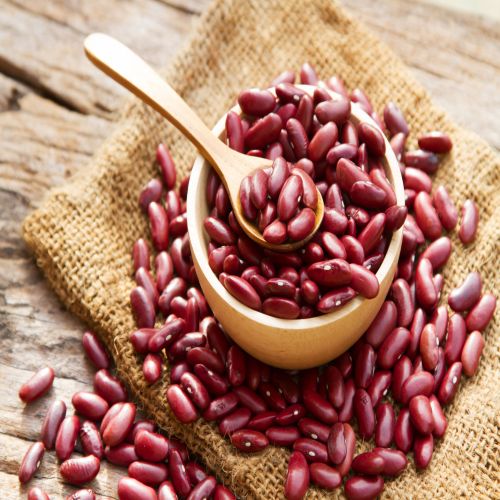 Global Kidney Beans sourcing and B2B commodity supply