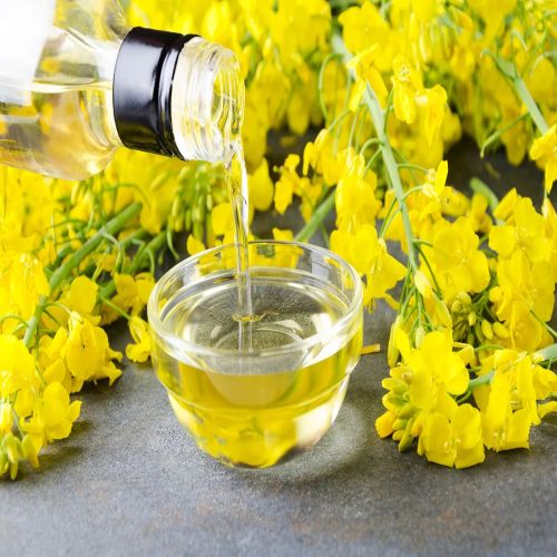 Global Canola Oil sourcing and B2B commodity supply