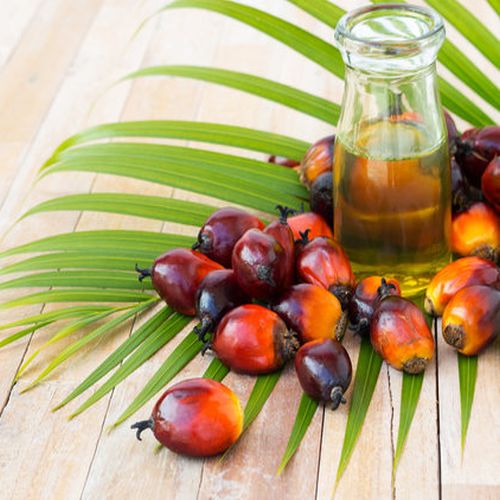 Global Palm Oil sourcing and B2B commodity supply